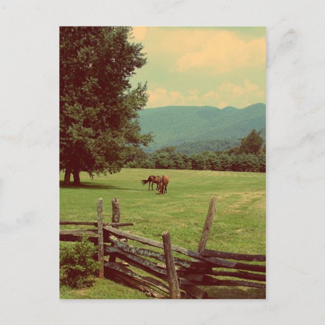 Out to Pasture Postcard (Front)