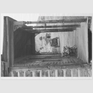 Out West Tissue Paper