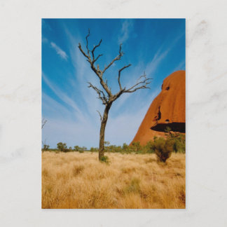 Outback Australia Postcard