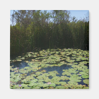 Outback Lily Pads Magnet