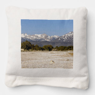 Outdoor Adventure Cornhole Bags with Mountain and