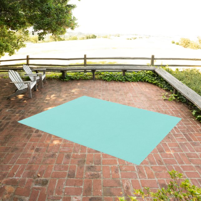 Outdoor Area Rug  (Insitu (Outdoor 3))