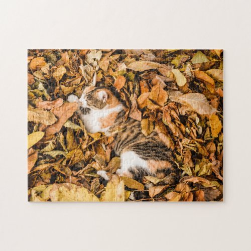 Outdoor Autumn Leaves Fall Tabby Calico Cat Photo Jigsaw Puzzle