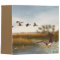 Outdoor Binder Ducks Marsh