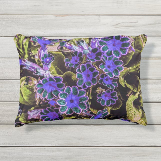 Outdoor cushions (Front)