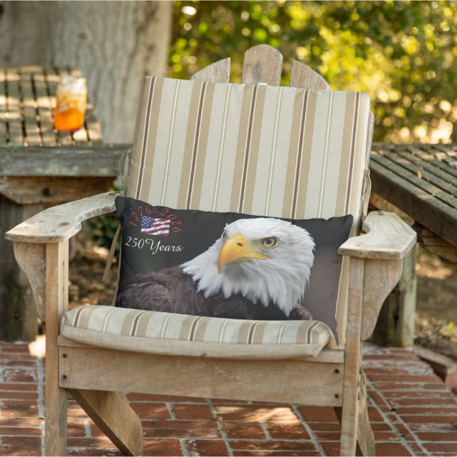 outdoor pillow  (Chair)