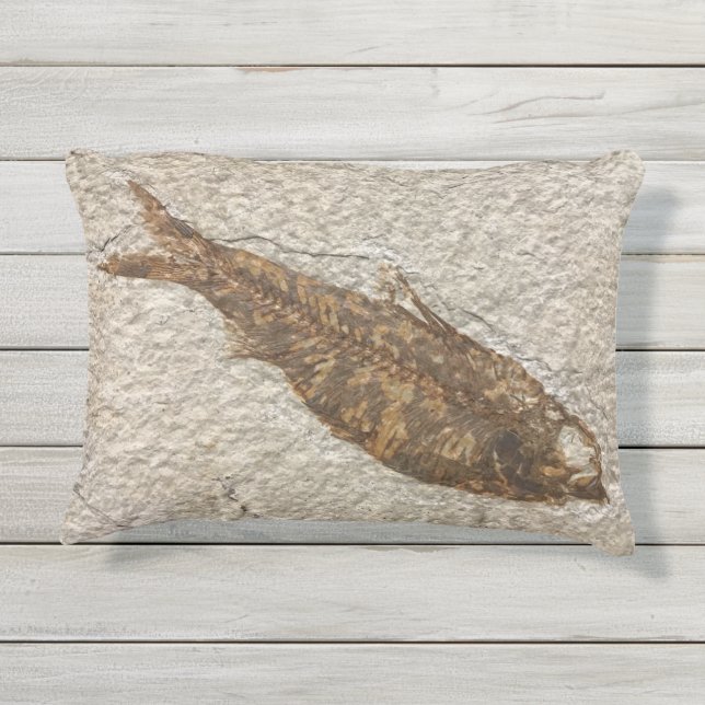 Outdoor Pillow Fish Fossil (Back)