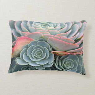 Outdoor Succulent Pillow, Blue Echeverias Decorative Pillow