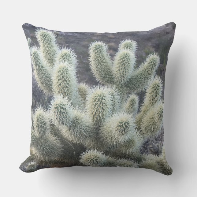 Outdoor Throw Pillow (Front)