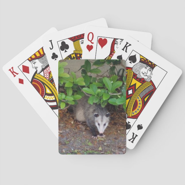 Outdoors Animal Poker Cards (Back)