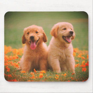 Outdoors, together, couple,dogs mouse pad