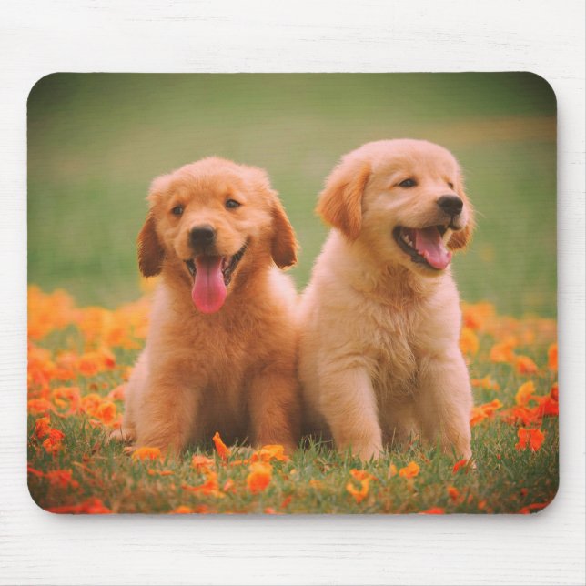 Outdoors, together, couple,dogs mouse pad (Front)