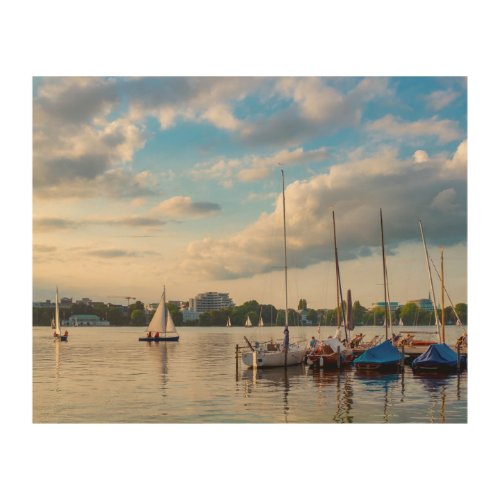 Outer Alster Lake Wood Wall Art