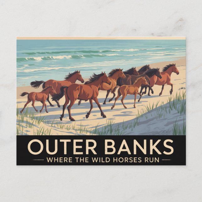 Outer Banks NC Postcard (Front)