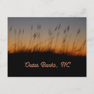Outer Banks NC Sea Oats and Dunes at Sunset Postcard