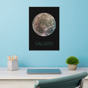 Outer Space, Cosmos, Solar System, Moon Callisto Wall Decal