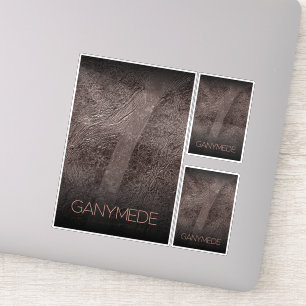 Outer Space, Cosmos, Solar System, Moon Ganymede Sticker