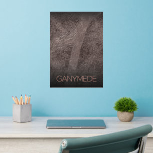 Outer Space, Cosmos, Solar System, Moon Ganymede Wall Decal