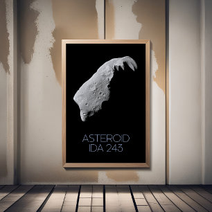 Outer Space, Solar System, Asteroid Belt, IDA 243 Foam Board