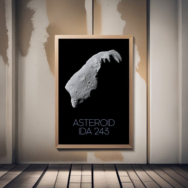 Outer Space, Solar System, Asteroid Belt, IDA 243 Foam Board (Creator Uploaded)
