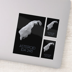 Outer Space, Solar System, Asteroid Belt, IDA 243 Sticker