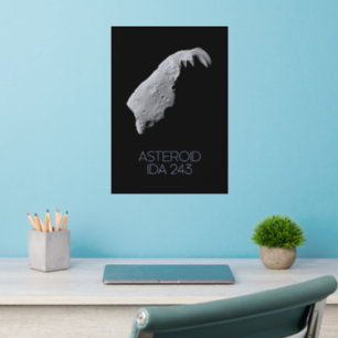 Outer Space, Solar System, Asteroid Belt, IDA 243 Wall Decal