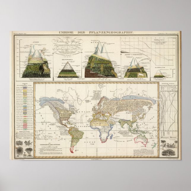 Outline of plant geography poster (Front)