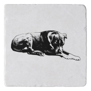 Outline Paws Coaster Set