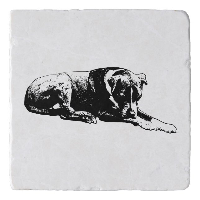 Outline Paws Coaster Set (Front)