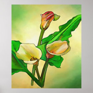 Outlined Calla Lilies Against A Green Ombre  Poster