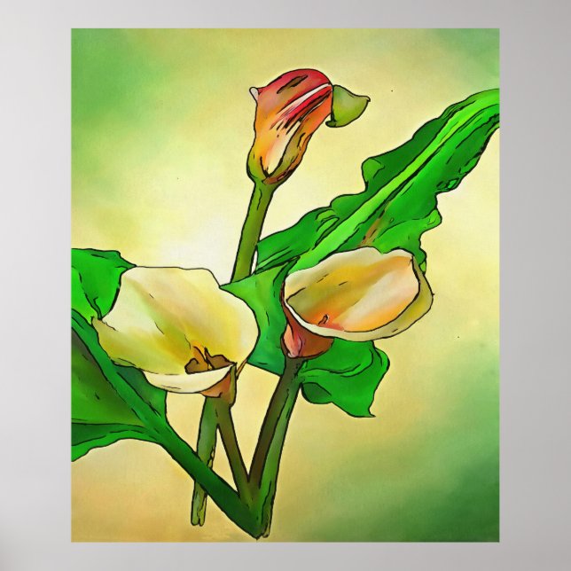 Outlined Calla Lilies Against A Green Ombre  Poster (Front)