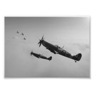 Outnumbered Photo Print