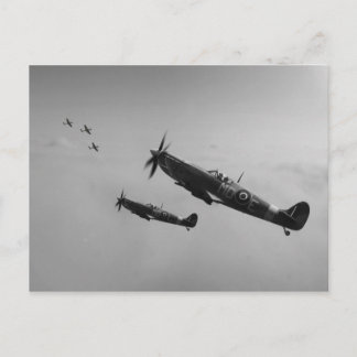 Outnumbered Postcard