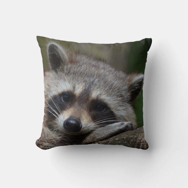 Outrageously Cute Baby Raccoon Throw Pillow (Front)