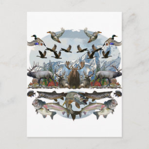 Outside life postcard