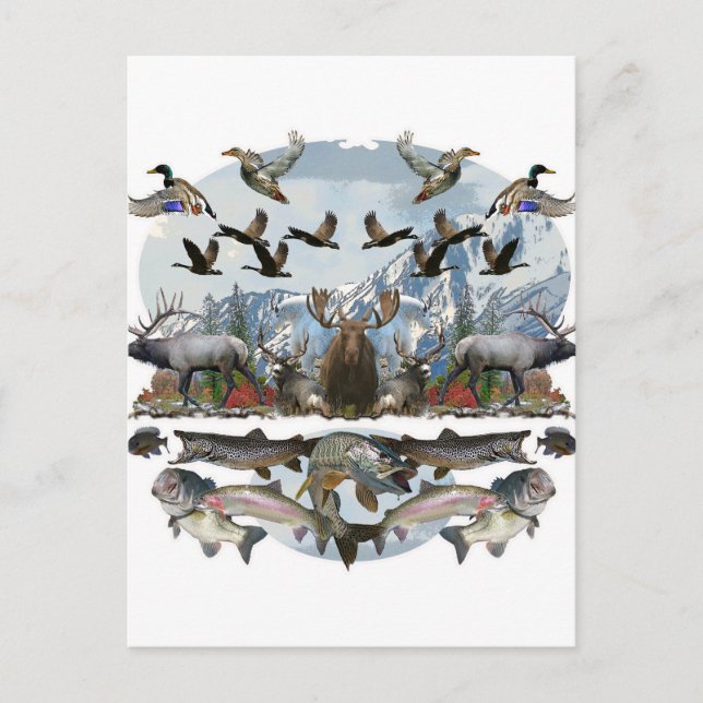 Outside life postcard (Front)