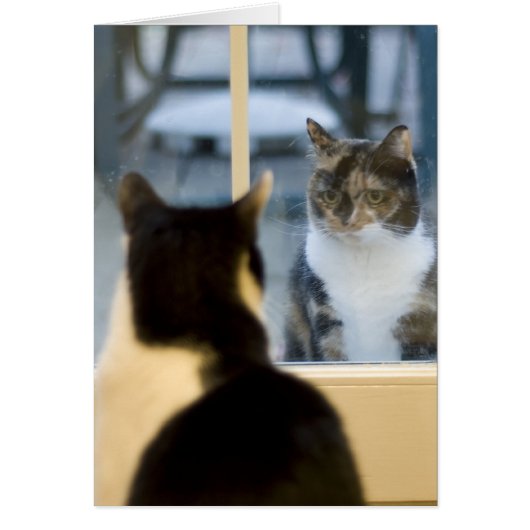 Outside Looking In (Front)