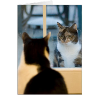 Outside Looking In Cards