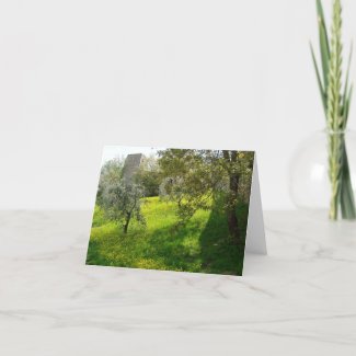 Outside San Gimignano walls Greeting card