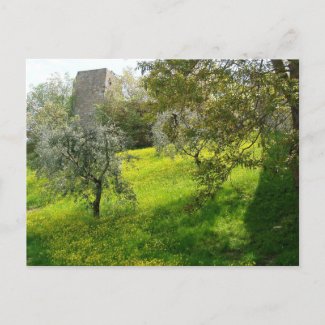 Outside San Gimignano walls