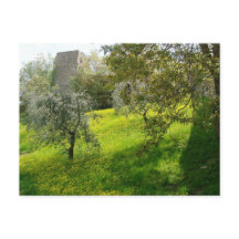 Outside San Gimignano walls