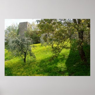 Outside San Gimignano walls