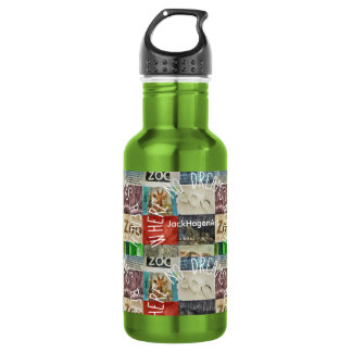 Outsider Artist Stainless Steel Water Bottle