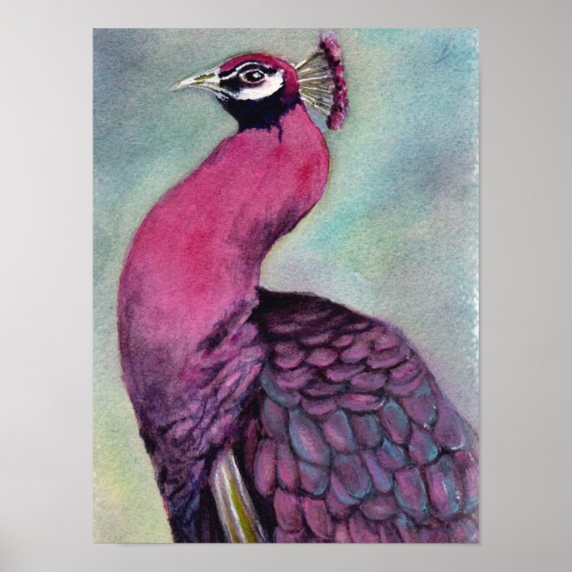 Outstanding Hot Pink Peacock Poster (Front)
