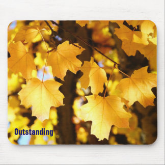 Outstanding mousepads nature custom unique Designe