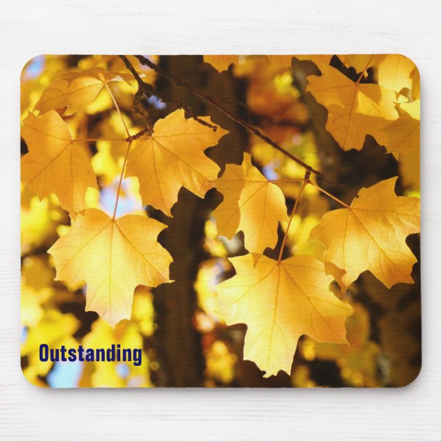 Outstanding mousepads nature custom unique Designe (Front)
