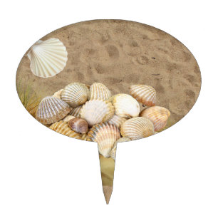 Oval Cake Pick Beach Sand Clams