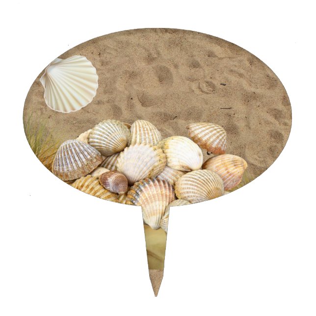 Oval Cake Pick Beach Sand Clams (Front)