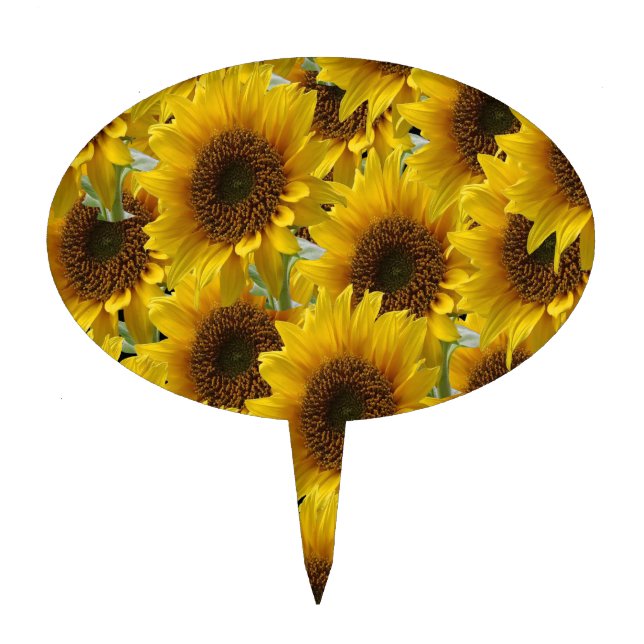 Oval CakePick Sunflower (Front)