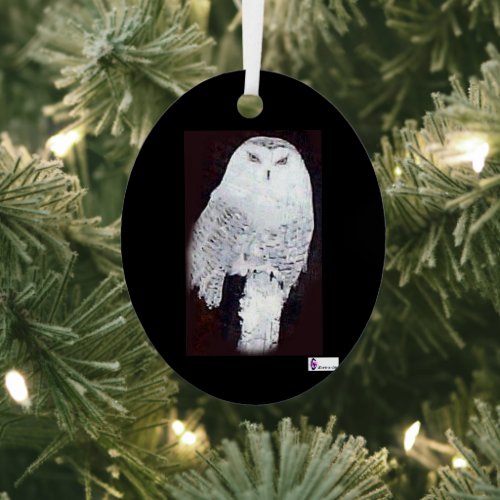 Oval Christmas Ornament SNOW OWL